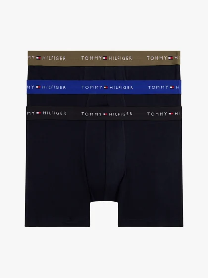 3P BOXER BRIEF DTM - Blue