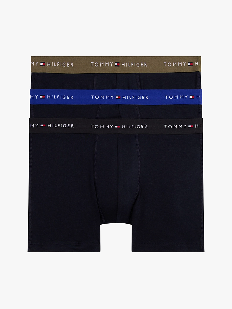 3P BOXER BRIEF DTM - Blue